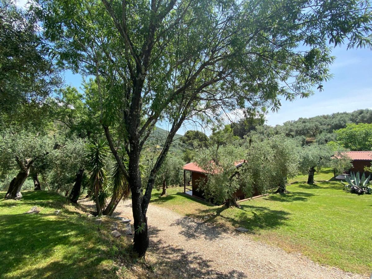 I Giardini Di Margius Villa อิทริ ภายนอก รูปภาพ